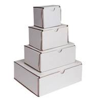 

Sirchie Corrugated White Folding Evidence Boxes, 5x4x3", 10 Each