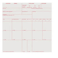 

Sirchie Standard 8x8" Criminal Record Card, Set of 100