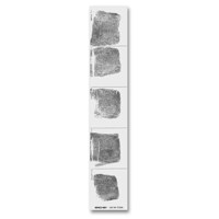 

Sirchie FC345L Postmortem Record Strips, Left Hand, Set of 100