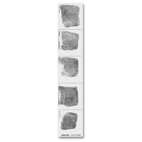 

Sirchie Postmortem Record Strips, Right Hand, Set of 100