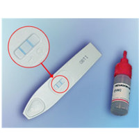 

Sirchie Hexagon Obti, Presumptive Blood Test, 24 Tests