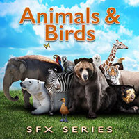 

Sound Ideas Animals & Birds SFX Series 615 Royalty Free Individual Animal/Bird Sound Effects and Sound Scenes Library