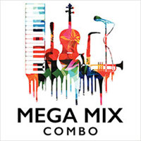 

Sound Ideas MegaMix Combo Royalty Free Music & Production Elements, Hard Drive, MAC