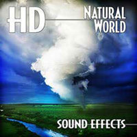 

Sound Ideas 293 High Definition Natural World Sound Effects Library