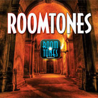 

Sound Ideas Roomtones Bundle Sound Effects on USB Flash Drive