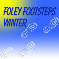 

Sound Ideas Foley Footsteps Winter Sound Effects Library on Audio CD, 2 CDs