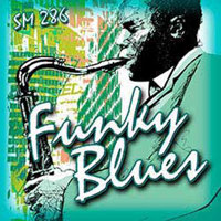 

Sound Ideas Royalty Free Music Funky Blues Software, Digital Download