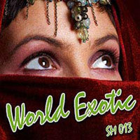 

Sound Ideas Royalty Free Music World Exotic Software, Digital Download