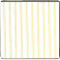 

Schneider MPTV 4x4" 2mm Gold True-Streak Square Filter