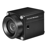 

Salrayworks V-WFS 1080p 1/2.8'' Exmor R CMOS Sensor Weather-Proof POV Camera with 3G-SDI, CVBS Outputs, 50/60/25/30 FPS, EU