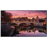 

Samsung QB55R-N 55" Class 4K UHD Commercial Smart LED Display with No Wi-Fi, Cortex-A72 1.7GHz, 2.5GB DDR4, 8GB Storage, Built-in Speakers, 3840x2160