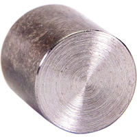 

StabiLens Tungsten Alloy Weights, 5-Pack