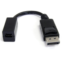

StarTech 6" DisplayPort to Mini DisplayPort Video Cable Adapter, 32 AWG