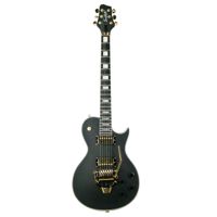 

Sawtooth Vudu Series Electric Guitar with Floyd Rose FRX Tremolo System, Satin Black