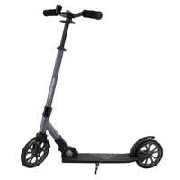 

Swagtron K8 Titan Folding Kids Kick Scooter with Kickstand, Gray