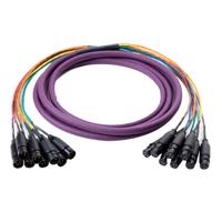 

Switchcraft 10' 8-Channel XLR Male to XLR Female Audio Snake Cable, Black/Gold Finish