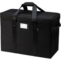 

Tenba Transport Air Case with Wheels for Profoto Pro-10 Flash with 2 Heads, Black