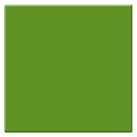 

Tiffen 3x3" #11 Yellow-Green Filter