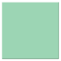 

Tiffen 4x4 CC30G Color Compensating Green Glass Filter