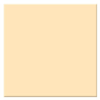

Tiffen 4x4" 2 Coral Solid Color Filter