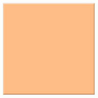 

Tiffen 4x4" 2 Tangerine Solid Color Filter