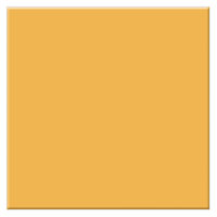 

Tiffen 4x4" 2 Tobacco Solid Color Filter