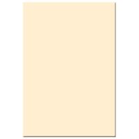 

Tiffen 4x5.65" 1 Coral Solid Color Filter