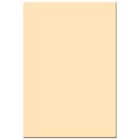 

Tiffen 4x5.65" 3 Coral Solid Color Filter