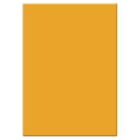 

Tiffen 4x5.65" Orange #16 Glass Filter for Black & White Film