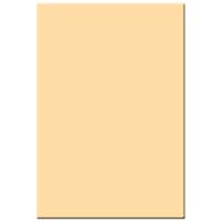 

Tiffen 4x5.65" 4 Coral Solid Color Filter
