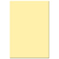 

Tiffen 4x5.65" 1 Straw Solid Color Filter