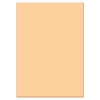 

Tiffen 4x5.65" 1 Tangerine Solid Color Filter
