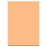 

Tiffen 4x5.65" 2 Tangerine Solid Color Filter