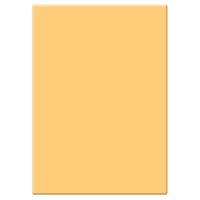 

Tiffen 4x5.65" 1 Tobacco Solid Color Filter