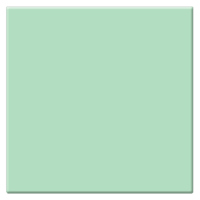 

Tiffen 6.6 x 6.6" CC20G Green Filter