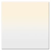 

Tiffen 6.6 x 6.6" 1/2 Coral Soft-Edge Graduated Filter