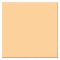 

Tiffen 6.6 x 6.6 Tangerine 1 Solid Color Filter