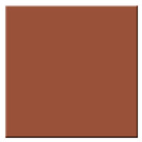 

Tiffen 6 x 6" Sepia 2 Solid Color Filter