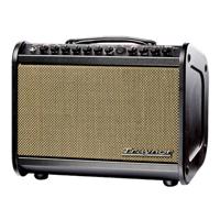 

Traynor AM Mini 65W Acoustic Guitar and Mic Amplifier