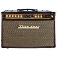 

Traynor AM Standard 150W Stereo Acoustic Guitar Amplifier with 1" Dual Tweeters and 2x6.5" Woofer
