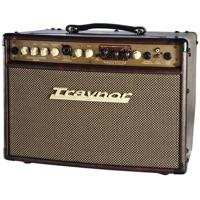 

Traynor AM Studio 65W 1x8" Acoustic Guitar Combo Amplifier with 1" Dome Tweeter and 8" Woofer