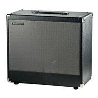 

Traynor DHX12 DarkHorse 1x12" 25W Guitar Extension Speaker Cabinet