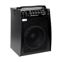 

Traynor SB106 Small Block 150W Ultra-Compact and Lightweight Combo Amplifier with SB200H 200W Head, 4-Band EQ