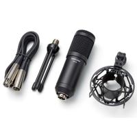 

Tascam TM-70 Dynamic Broadcast Microphone
