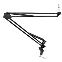 

Tascam TM-AM2 Radio-Style Adjustable Microphone Arm