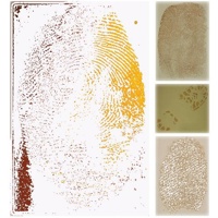 

Tri-Tech Forensics Zar-Pro 8oz Activator Solution