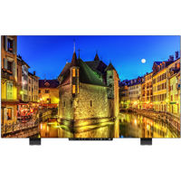 

TV Logic LEM-550R 55" True UHD 4K QC-Grade OLED Monitor with HDR and Built-In Speaker, 3840x2160