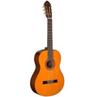 

Washburn Classical Series C5 Acoustic Guitar, Rosewood Fretboard, Natural