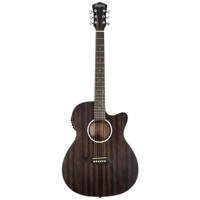 

Washburn Deep Forest Ebony ACE Acoustic Guitar, Striped Ebony