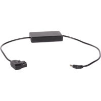 

Wooden Camera 20" D-Tap Power Cable for Canon C100, C100mkII, C300 and C500 Cameras